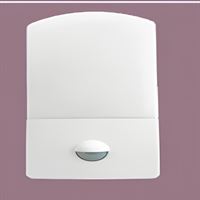 Siyah Taban 10W 6500K 1